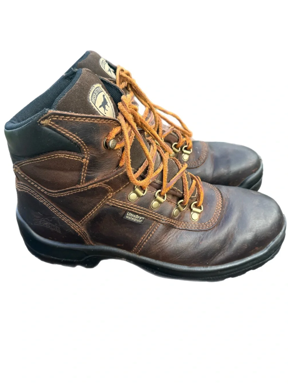 Irish Setter Red Wing Mens 10 Ely 6